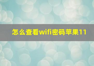 怎么查看wifi密码苹果11