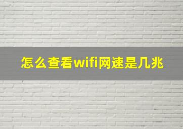 怎么查看wifi网速是几兆