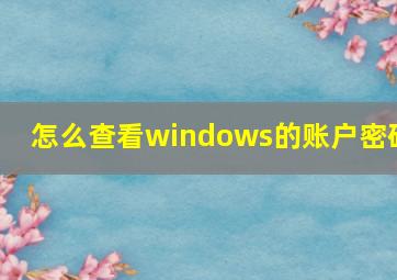 怎么查看windows的账户密码