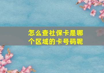 怎么查社保卡是哪个区域的卡号码呢