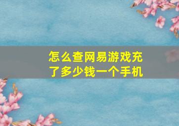 怎么查网易游戏充了多少钱一个手机