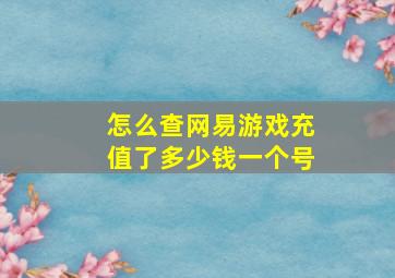 怎么查网易游戏充值了多少钱一个号