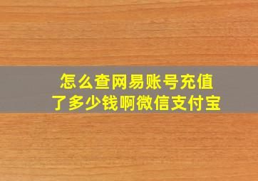 怎么查网易账号充值了多少钱啊微信支付宝