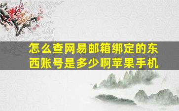 怎么查网易邮箱绑定的东西账号是多少啊苹果手机