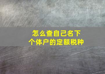 怎么查自己名下个体户的定额税种