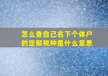 怎么查自己名下个体户的定额税种是什么意思