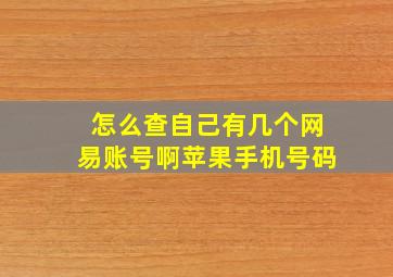 怎么查自己有几个网易账号啊苹果手机号码