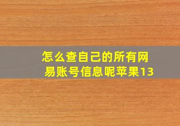 怎么查自己的所有网易账号信息呢苹果13