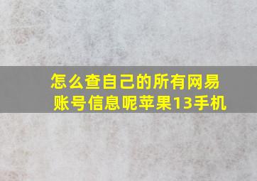 怎么查自己的所有网易账号信息呢苹果13手机