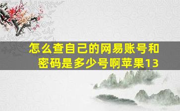 怎么查自己的网易账号和密码是多少号啊苹果13