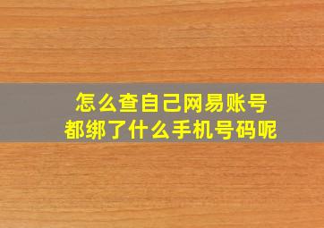 怎么查自己网易账号都绑了什么手机号码呢