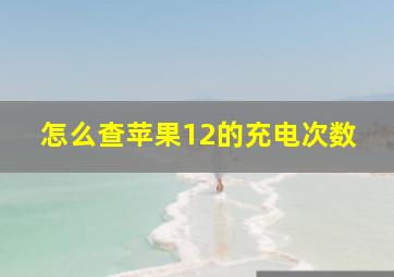 怎么查苹果12的充电次数