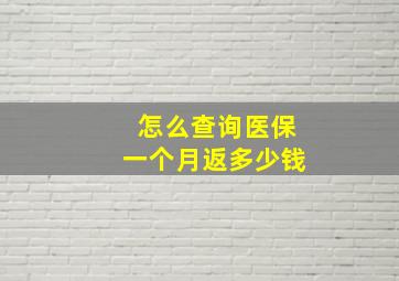 怎么查询医保一个月返多少钱