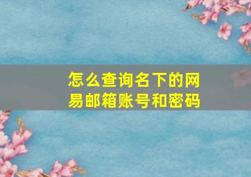 怎么查询名下的网易邮箱账号和密码