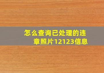 怎么查询已处理的违章照片12123信息