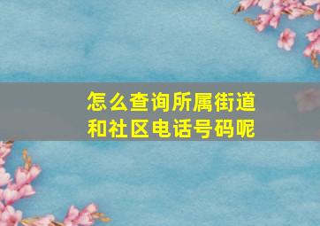 怎么查询所属街道和社区电话号码呢