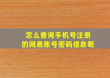 怎么查询手机号注册的网易账号密码信息呢