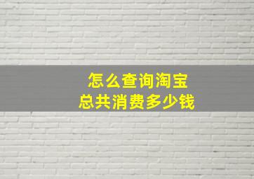 怎么查询淘宝总共消费多少钱