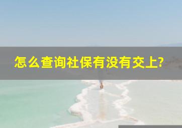 怎么查询社保有没有交上?