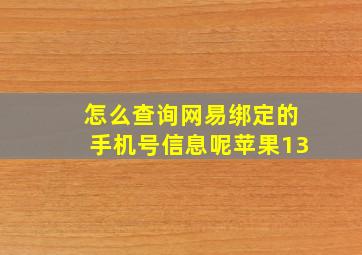 怎么查询网易绑定的手机号信息呢苹果13