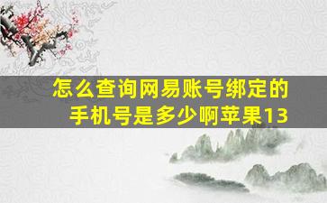 怎么查询网易账号绑定的手机号是多少啊苹果13