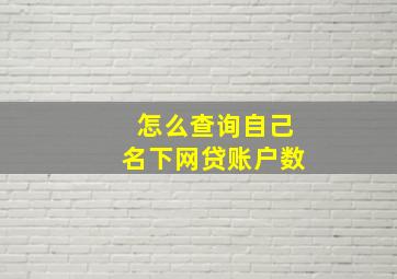 怎么查询自己名下网贷账户数