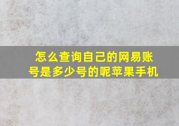 怎么查询自己的网易账号是多少号的呢苹果手机