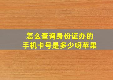 怎么查询身份证办的手机卡号是多少呀苹果