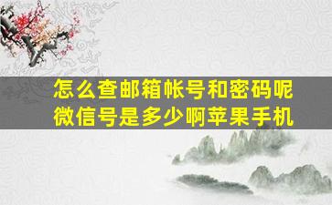 怎么查邮箱帐号和密码呢微信号是多少啊苹果手机