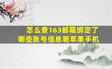 怎么查163邮箱绑定了哪些账号信息呢苹果手机