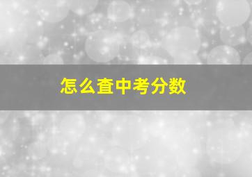 怎么査中考分数