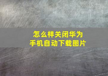 怎么样关闭华为手机自动下载图片