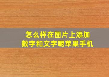 怎么样在图片上添加数字和文字呢苹果手机