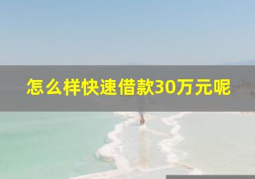 怎么样快速借款30万元呢