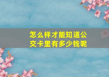 怎么样才能知道公交卡里有多少钱呢