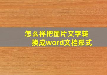 怎么样把图片文字转换成word文档形式