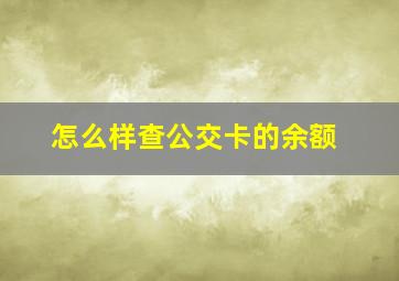 怎么样查公交卡的余额