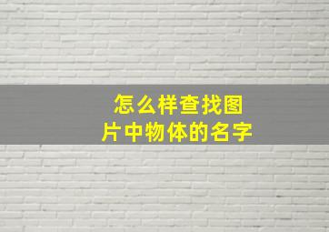 怎么样查找图片中物体的名字