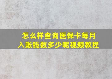 怎么样查询医保卡每月入账钱数多少呢视频教程