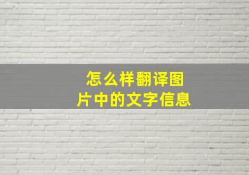 怎么样翻译图片中的文字信息