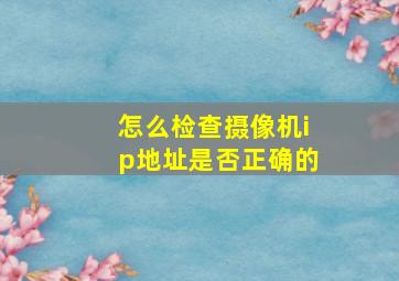 怎么检查摄像机ip地址是否正确的