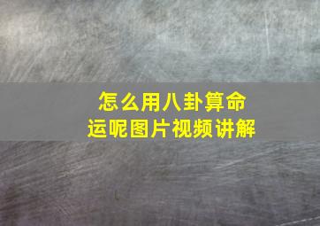 怎么用八卦算命运呢图片视频讲解