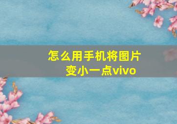 怎么用手机将图片变小一点vivo