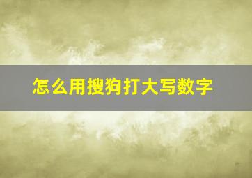 怎么用搜狗打大写数字