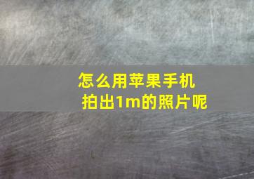 怎么用苹果手机拍出1m的照片呢