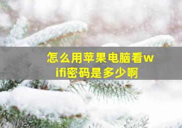 怎么用苹果电脑看wifi密码是多少啊