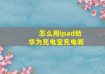 怎么用ipad给华为充电宝充电呢