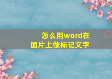 怎么用word在图片上做标记文字