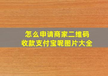 怎么申请商家二维码收款支付宝呢图片大全