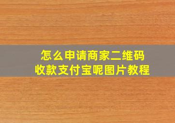 怎么申请商家二维码收款支付宝呢图片教程